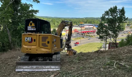 Forestry Mulching & Land Clearing